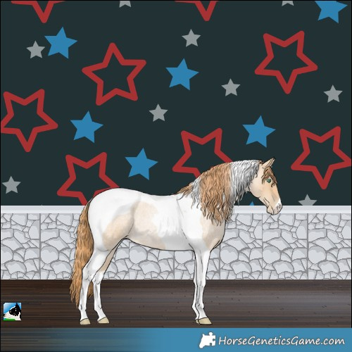 Horse Color:Smoky Blue Roan Pearl Tobiano 