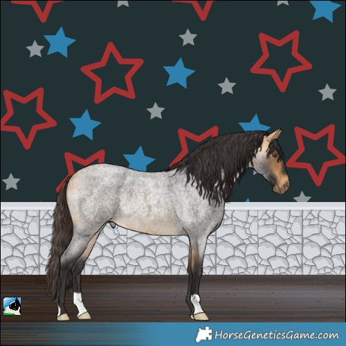 Horse Color:Buckskin Roan Rabicano