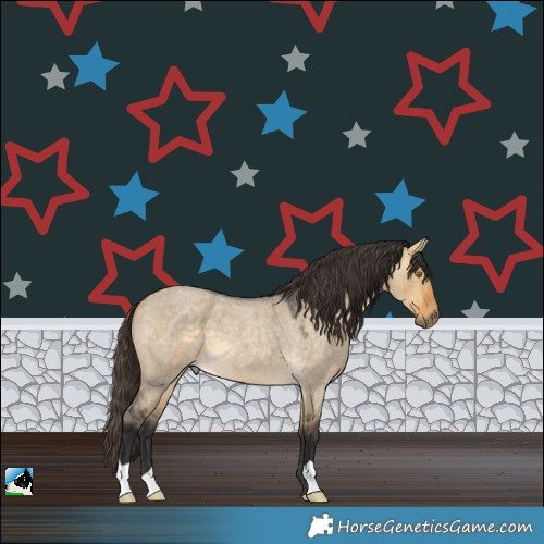 Horse Color:Buckskin Roan Dun