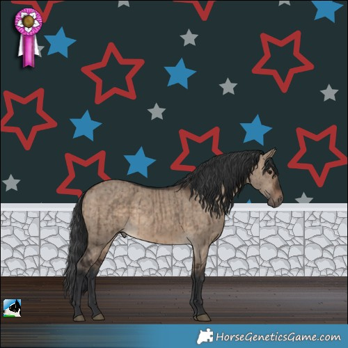 Horse Color:Brown Dun Brindle 