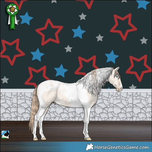 Horse Color:Perlino Dun Tobiano 