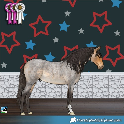 Horse Color:Buckskin Roan