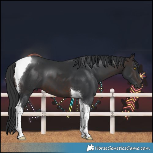 Horse Color:Brown Tobiano 