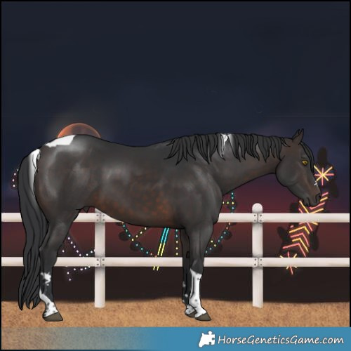 Horse Color:Brown Tobiano 