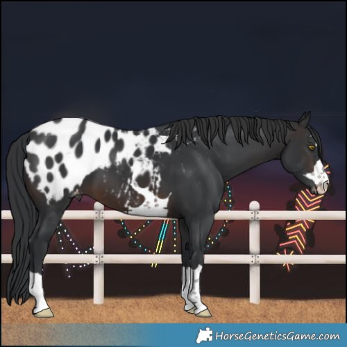 Horse Color:Brown Blanket 