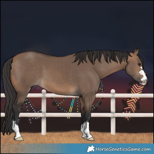 Horse Color:Brown Dun 
