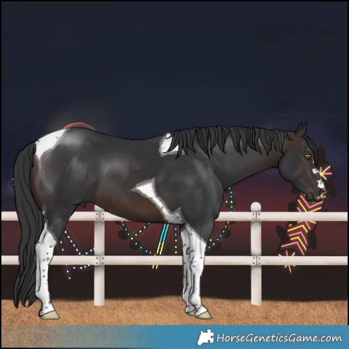 Horse Color:Brown Tobiano
