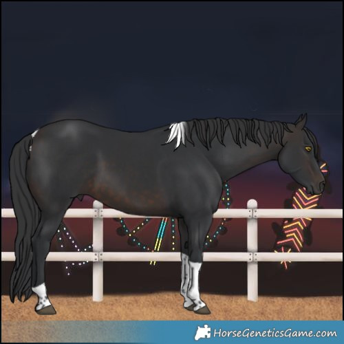 Horse Color:Brown Tobiano 