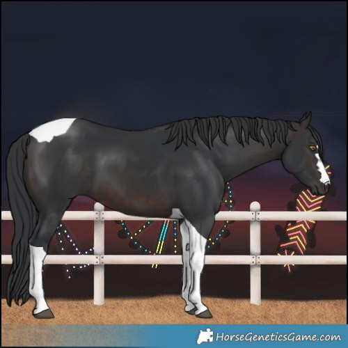 Horse Color:Brown Tobiano