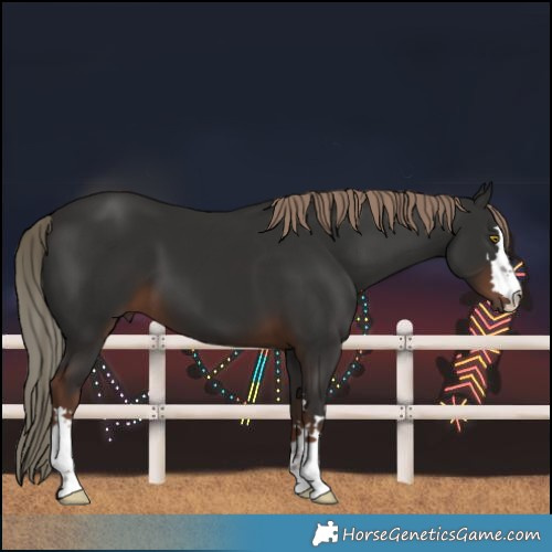Horse Color:Liver Chestnut 