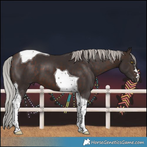 Horse Color:Silver Brown Tobiano