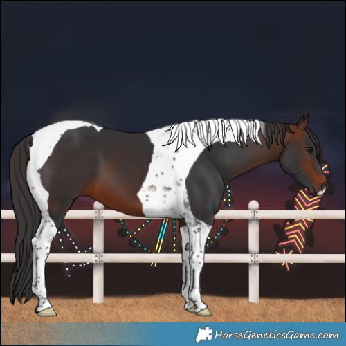 Horse Color:Brown Tobiano