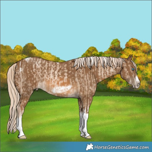 Horse Color:Chocolate Palomino Pearl Tobiano Frame  and Chocolate Palomino Tobiano Frame 