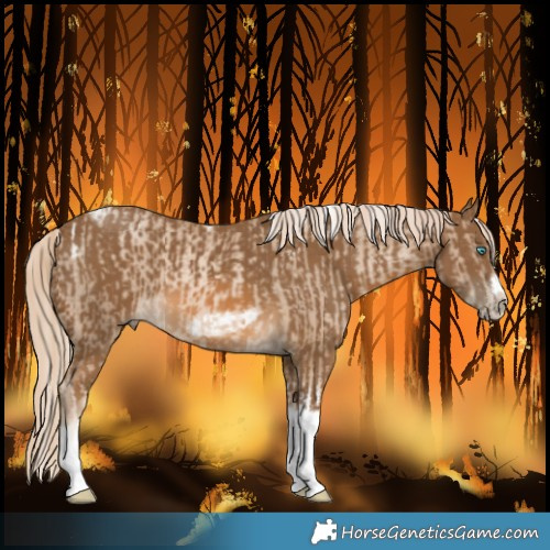Horse Color:Chocolate Palomino Pearl Tobiano Frame  and Chocolate Palomino Tobiano Frame 