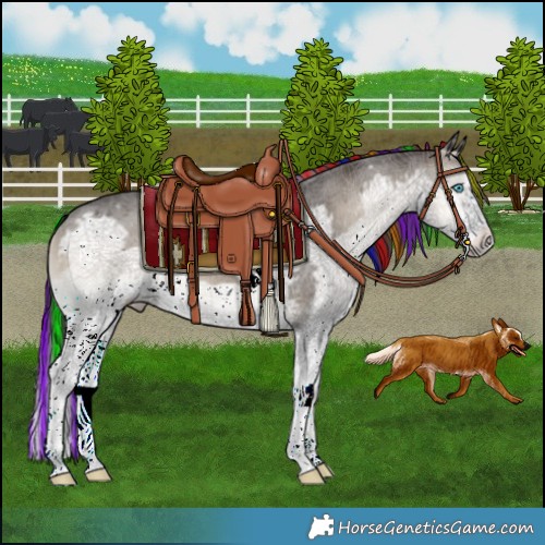 Horse Color:Painted Smoky Blue Onyx Splash Frame 