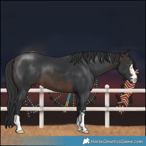 Horse Color:Brown 
