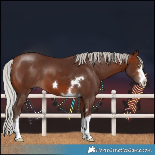 Horse Color:Silver Bay