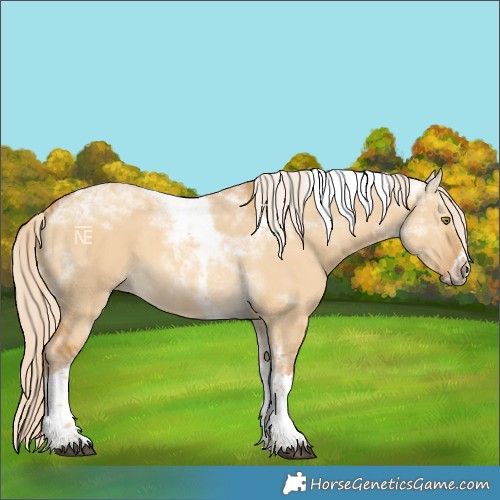 Horse Color:Palomino Dun Tobiano Frame 
