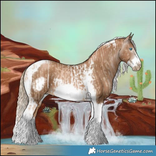 Horse Color:Chocolate Palomino Pearl Tobiano Frame and Gray Chocolate Palomino Pearl Tobiano Frame