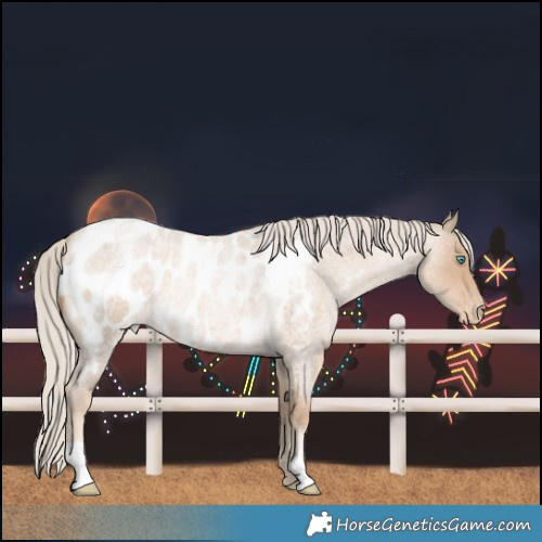 Horse Color:Chocolate Palomino Roan Pearl Blanket 