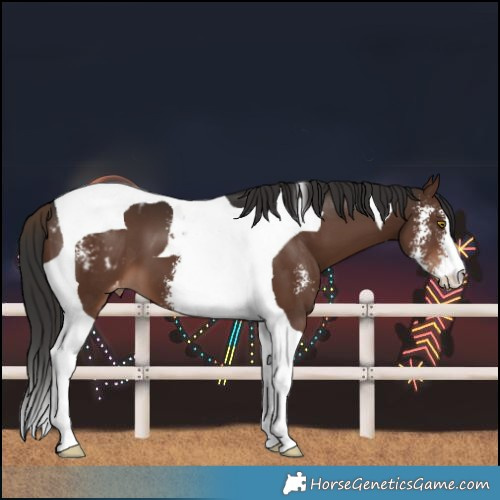 Horse Color:Liver Chestnut Sabino Tobiano Varnish 