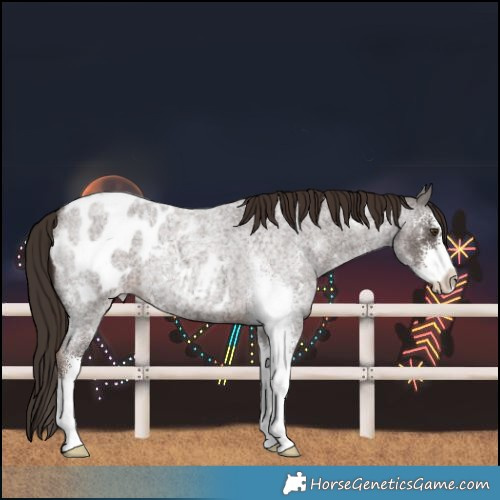 Horse Color:Liver Red Roan Sabino Blanket 