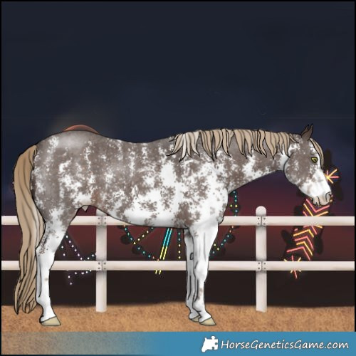 Horse Color:Liver Chestnut Sabino 