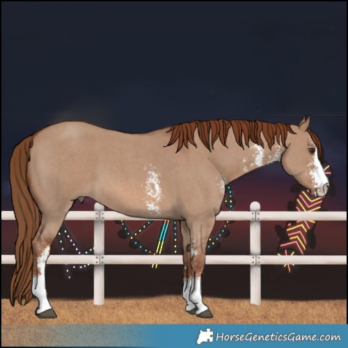 Horse Color:Red Dun Sabino 