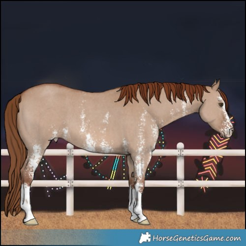 Horse Color:Red Dun Sabino 