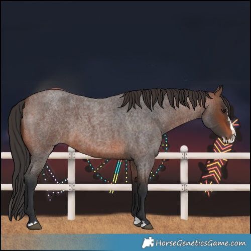 Horse Color:Brown Roan Splash 