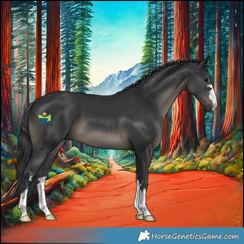 Horse Color:Black 
