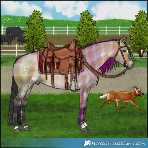 Horse Color:Plaid  Brown Dun Rabicano 