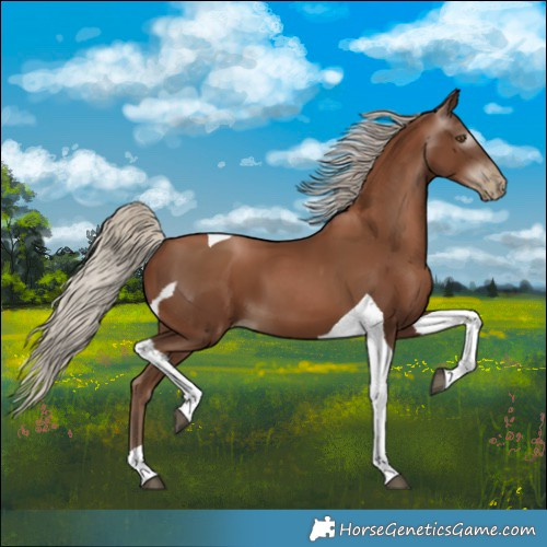 Horse Color:Gray Silver Black Pearl Tobiano 