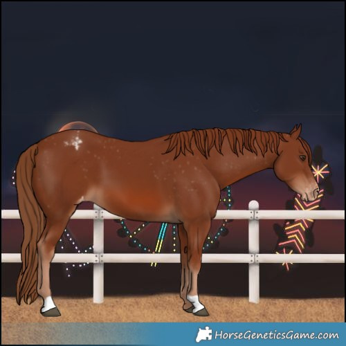Horse Color:Chestnut Varnish 