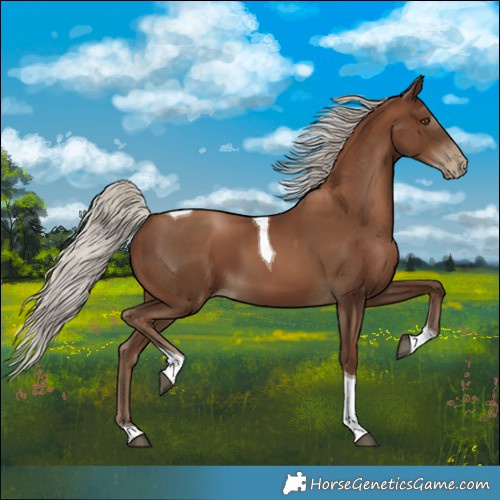 Horse Color:Gray Silver Black Pearl Tobiano 
