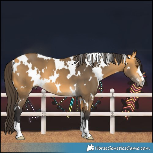 Horse Color:White Spotted Buckskin 