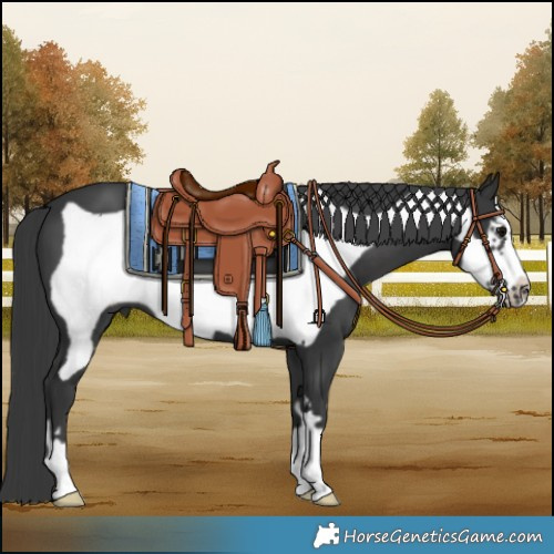 Horse Color:Black Frame