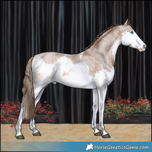 Horse Color:White Spotted Black Pearl Sabino Splash 
