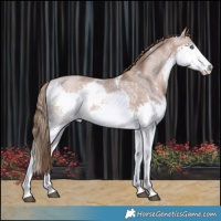 Horse Color:White Spotted Black Pearl Sabino Splash 