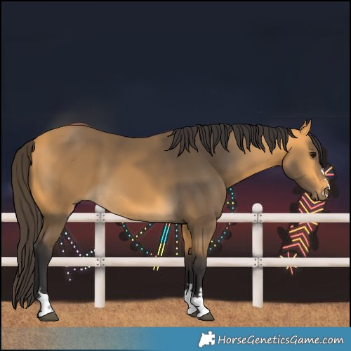 Horse Color:Buckskin