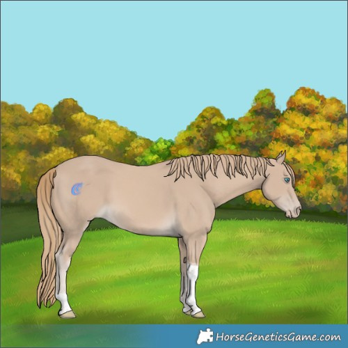 Horse Color:Smoky Creme Tobiano Rabicano