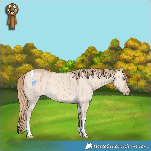 Horse Color:Chocolate Perlino Dun Tobiano Brindle