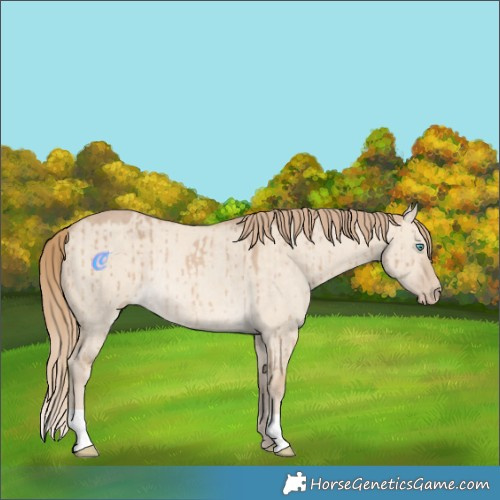 Horse Color:Perlino Dun Rabicano Brindle 