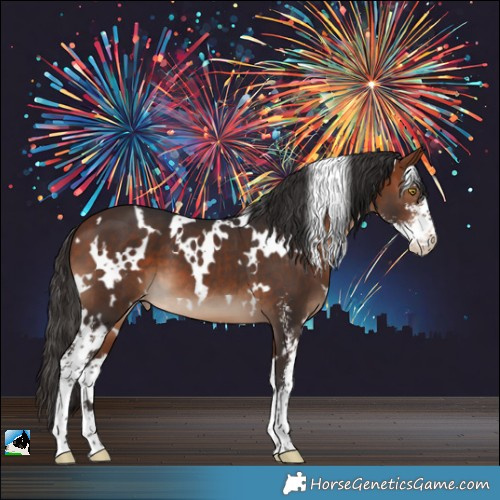 Horse Color:White Spotted Bay Sabino Appaloosa