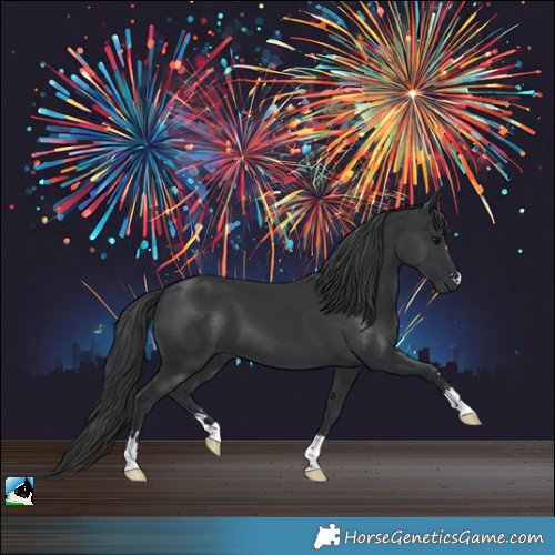 Horse Color:Black 