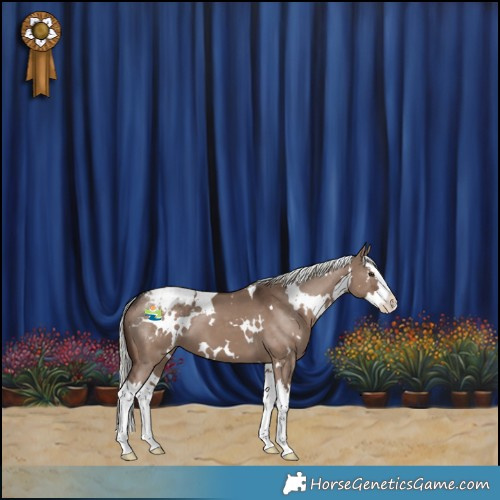 Horse Color:White Spotted Liver Red Dun Mushroom Splash Appaloosa 