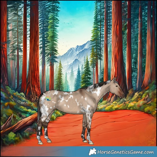 Horse Color:White Spotted Liver Red Dun 