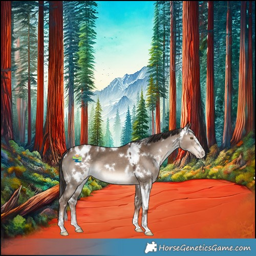 Horse Color:White Spotted Liver Red Dun Varnish 
