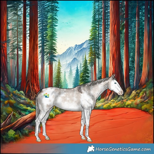 Horse Color:White Spotted Liver Red Dun Mushroom Sabino Splash Blanket