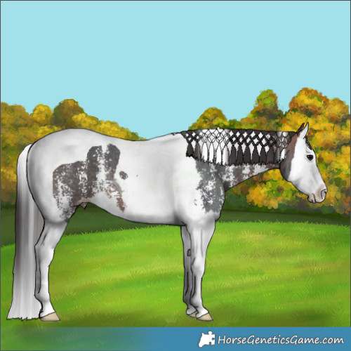 Horse Color:Brown Sabino Splash Tobiano Varnish